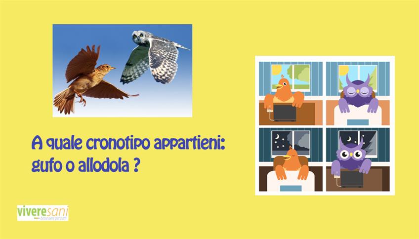 Gufi o allodole? Gufi o allodole?